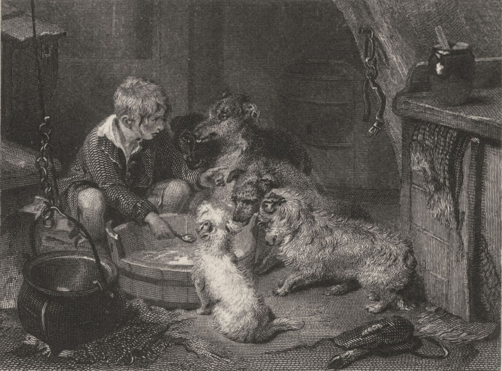 DOGS. 'Too Hot'. Several Dogs waiting to eat. Landseer (Edward Jesse) 1888